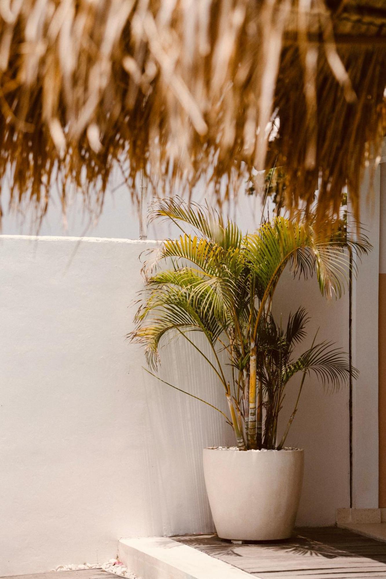 Love Song Boutique Hotel Canggu Zewnętrze zdjęcie